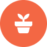 Lawn Mowing & Plant Care