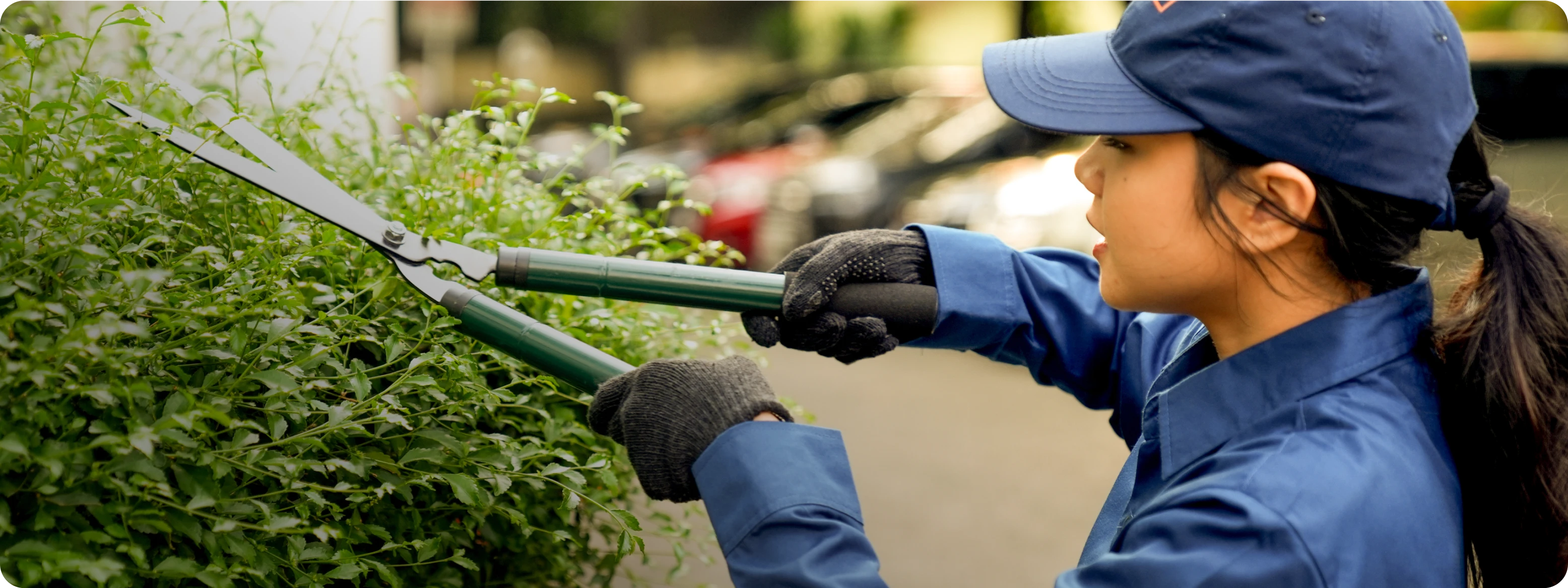 1-full-service-gardening