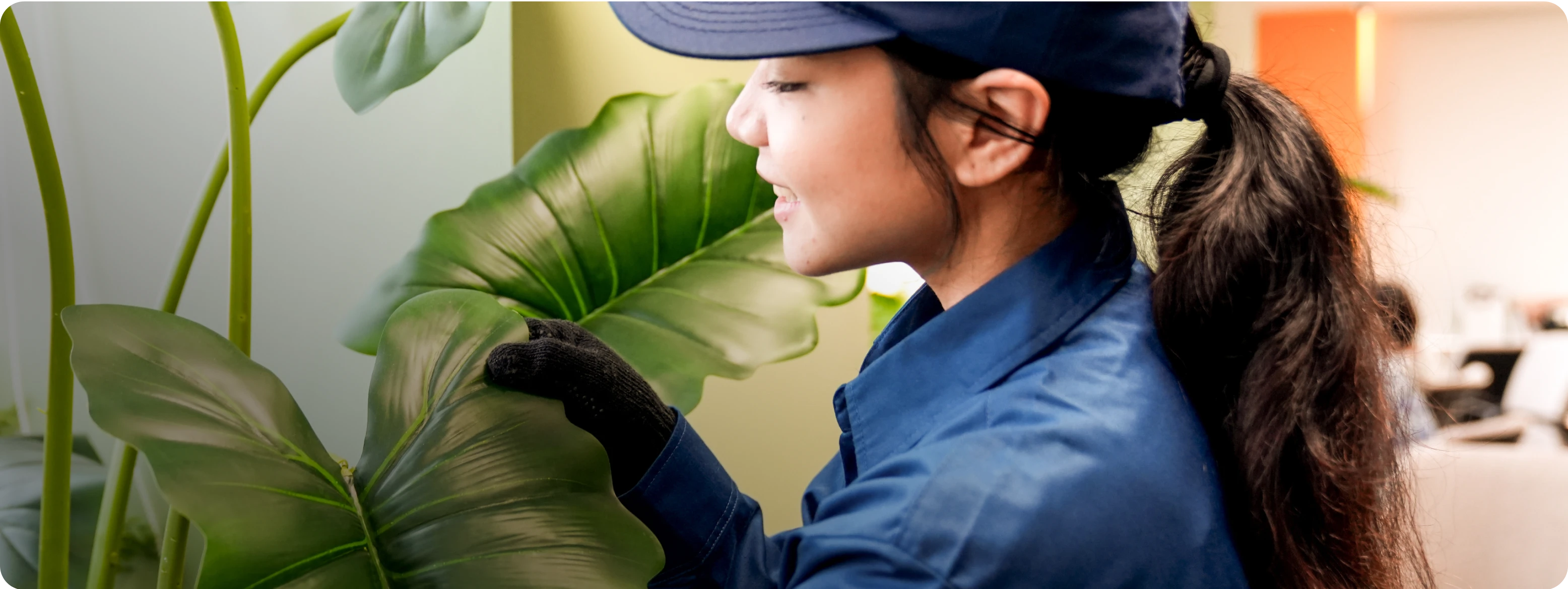 3-full-service-gardening